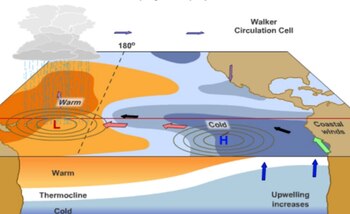 Lo que vemos como efecto