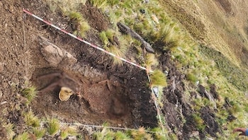 Fiscalía recupera restos de cuatro