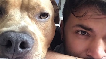 Magnus, la mascota de Camilo Triana, murió tras su segunda lucha contra el cáncer: “Espérame cruzando el arcoíris”