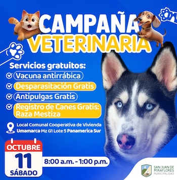 Las mascotas recibirán atención por