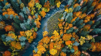 El estudio concluye que la