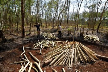 Personas se preparan para quemar