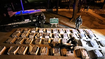 Hallaron un camión que transportaba más de 40 cajas de pescado en malas condiciones a Córdoba