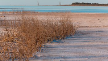Denunciaron que la Laguna Mar