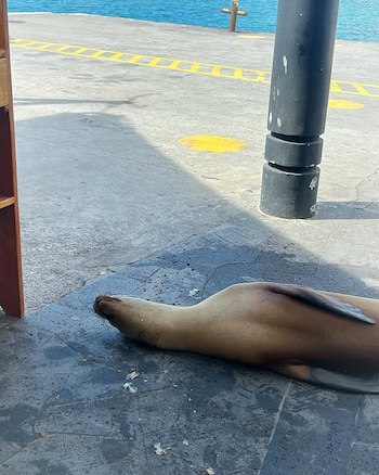 Durante el recorrido, las posiciones