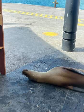 Durante el recorrido, las posiciones