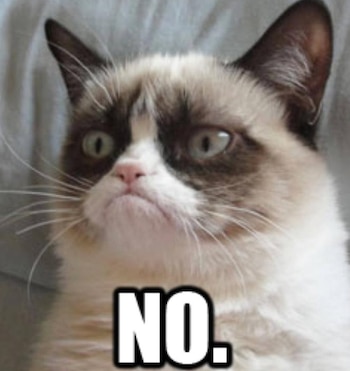 La gata más famosa de