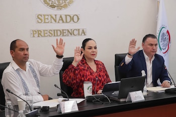 Senado Morena