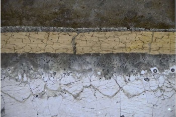 Vista microscópica de una sección de un fósil de pterosaurio que muestra el recubrimiento de carbono y las capas minerales (Grice et al., iScience)