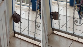 Casi un millón de personas