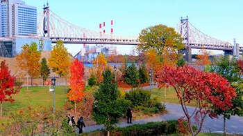 Roosvelt Island - (NuevaYork.com)