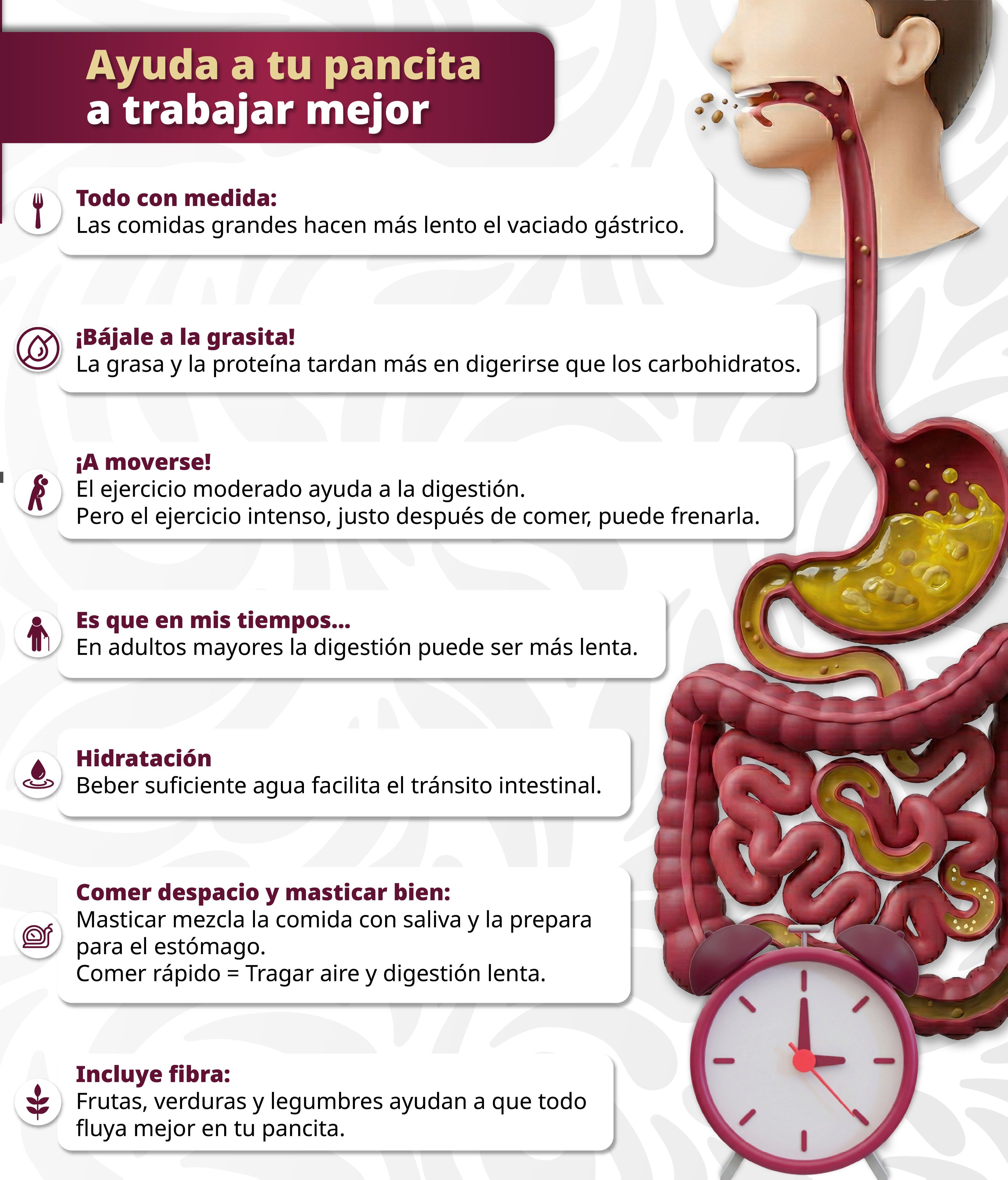 Consejos prácticos para un sistema digestivo saludable. (ISSSTE)
