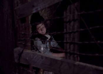 "El castillo de la pureza"