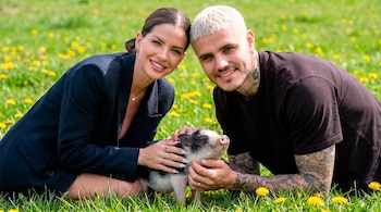 Eugenia 'China' Suárez y Mauro Icardi visitan un Micro Pig Café en Tokio, tendencia creciente en Japón.