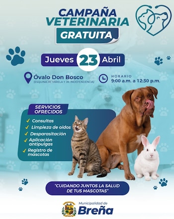 Los servicios disponibles incluyen consultas veterinarias, limpieza de oídos, desparasitación, aplicación antipulgas y registro de mascotas, todos supervisados por especialistas municipales - Créditos: Municipalidad de Breña.