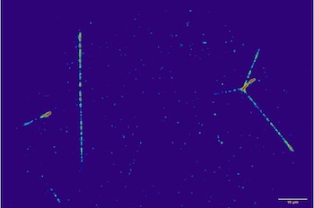 La radiación cósmica galáctica tuvo mayor presencia en el entorno lunar que alrededor de la Tierra (IFJ PAN)