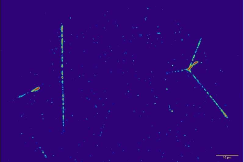 La radiación cósmica galáctica tuvo mayor presencia en el entorno lunar que alrededor de la Tierra (IFJ PAN)