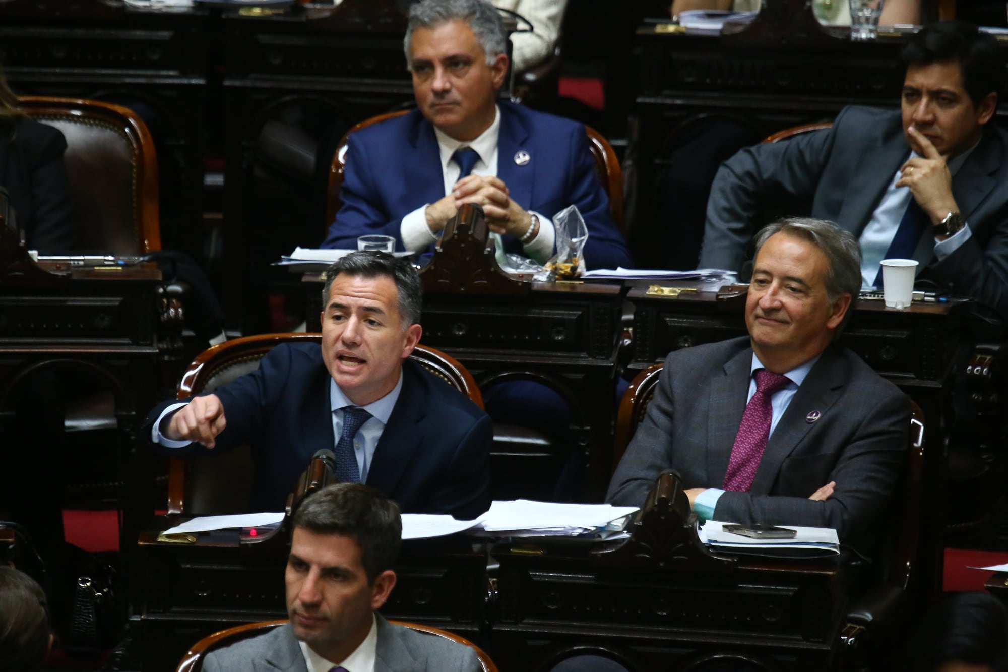 El jefe del bloque LLA, Gabriel Bornoroni