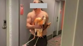 Un hombre sin camiseta sostiene un flamenco en el pasillo de un hotel, con los ojos cubiertos por un rectángulo gris