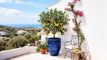 FRUTALES DECO