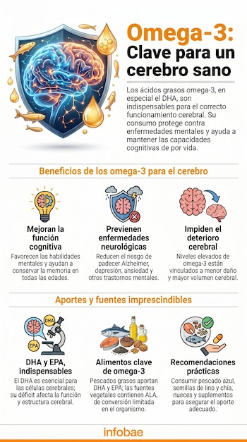 Infografía visual con un cerebro humano dentro de un escudo, rodeado de peces y gotas de aceite. Incluye seis iconos explicativos sobre beneficios y fuentes.