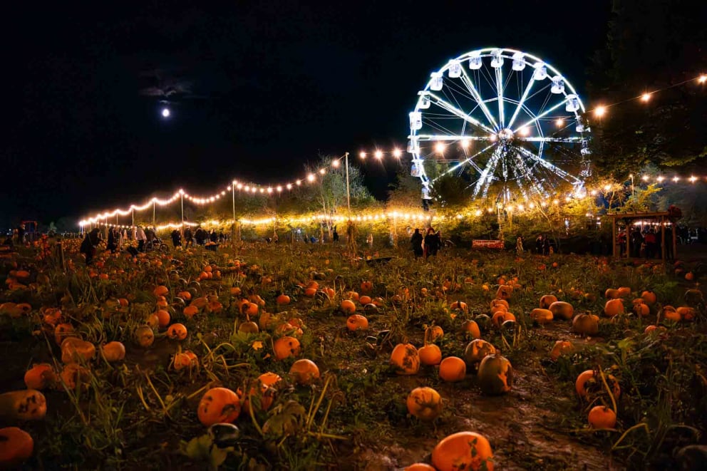 Música en directo, personajes a conocer y varios objetos de otoño a comprar. (Tulleys Farm)