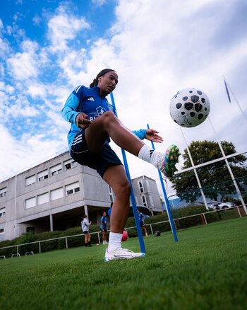 El cuadro francés tendrá tres