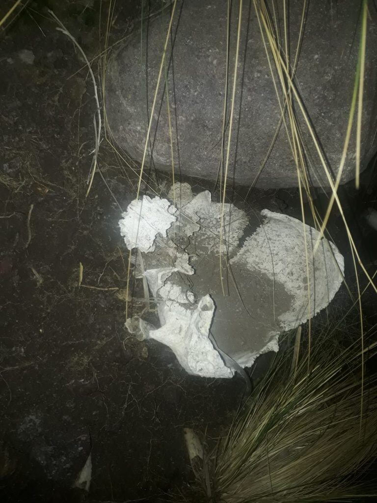 Los restos óseos fueron hallados en una zona rural ubicada a la altura del kilómetro 16 de la Ruta Provincial 180 (Foto: gentileza Diario San Rafael)