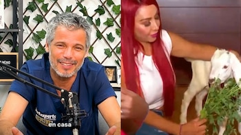 Pancho Cavero arremete contra Deysi Araujo por tener una cabrita de mascota en su departamento: “Es un mal ejemplo”