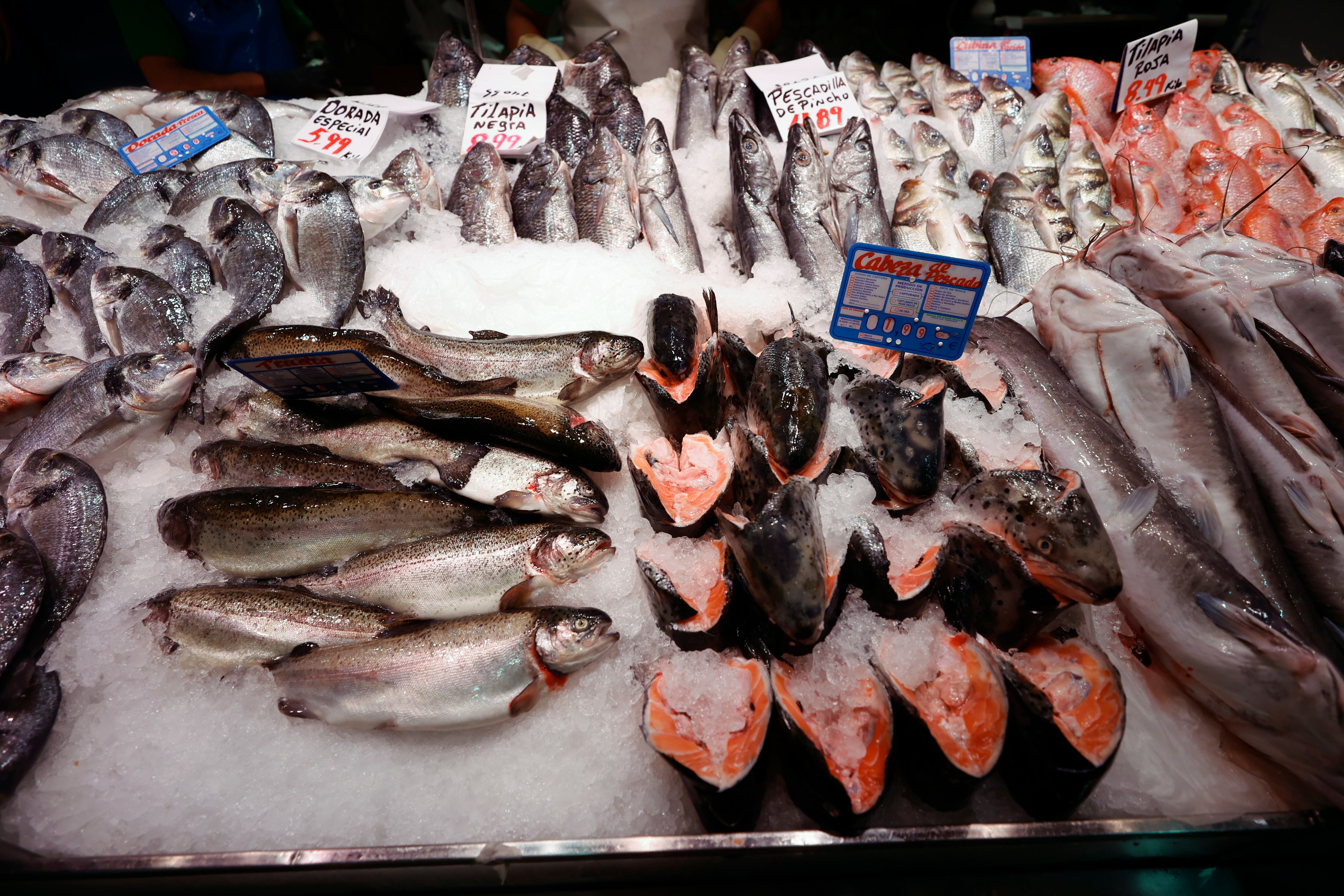 Hay otros lugares de México además de Sinaloa que son reconocidos por la calidad de sus mariscos. EFE/ Javier Lizon