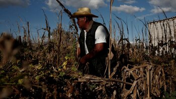 Esta es la nueva serie