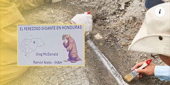 El hallazgo paleontológico en Olancho representa una oportunidad para fortalecer la investigación científica sobre la fauna prehistórica de Honduras. (Foto: Cortesía)