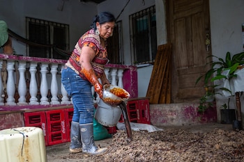 Imagen 66MQGLFNYNAE7PDTQTPZK4ZFKY