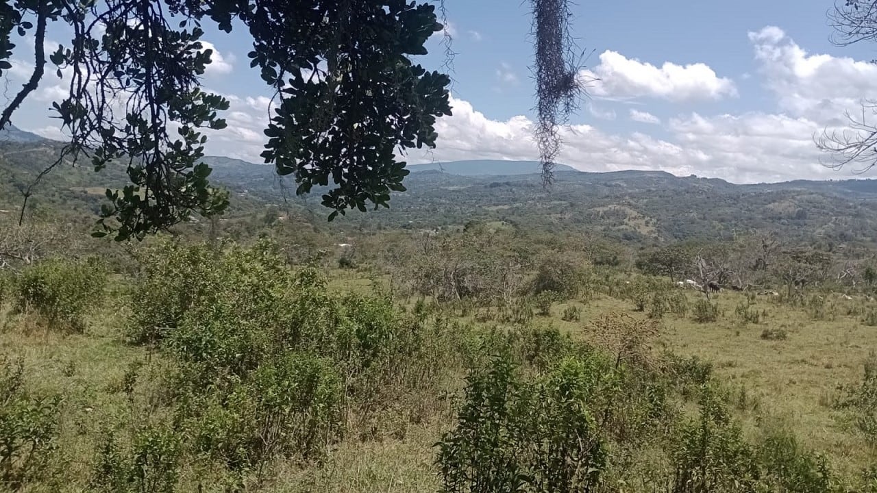 Uno de los principales objetivos de la revisión será establecer una diferenciación clara entre latifundistas y pequeños productores - crédito red social Facebook