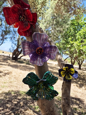 La formación en arquitectura de