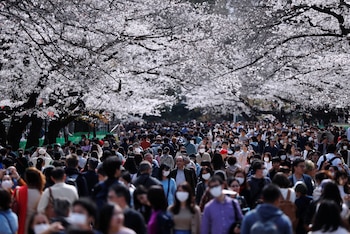 En Japón, miles de personas