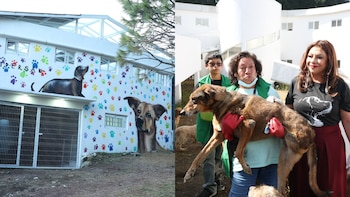 Diputados de la CDMX respaldan