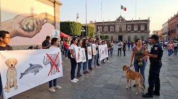 Un grupo de personas sostiene pancartas con dibujos de perros, delfines y elefantes tachados, frente a un edificio con una bandera de México, con un mural de mano y pata.