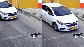 Indignación en Risaralda por mujer