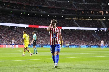 Imagen 66W57332XFCU5MHAAADE6UZ7UU