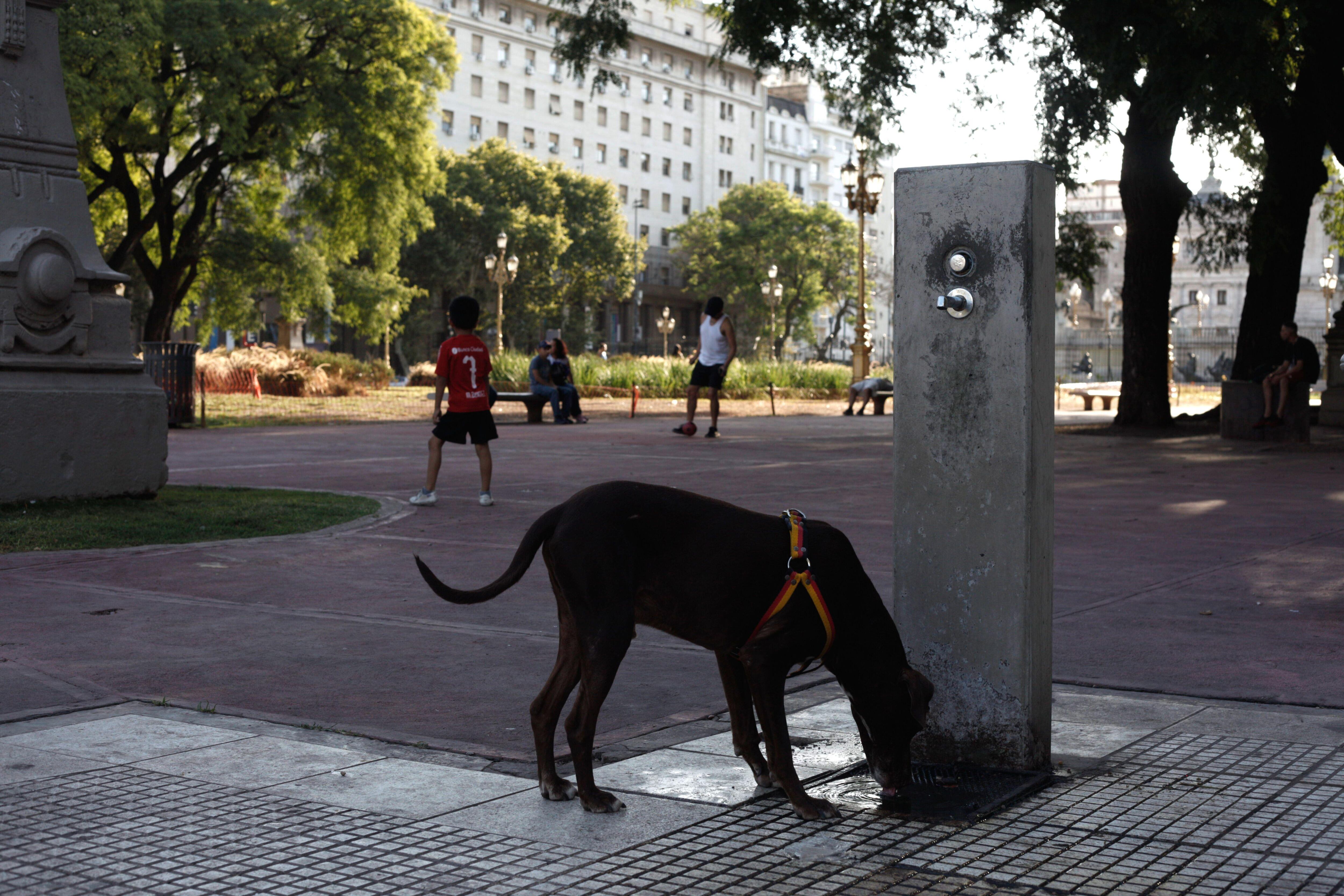 El miércoles por la tarde se registrará el pico de la semana, con unos 31 grados.