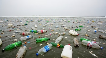 La colonización de los plásticos