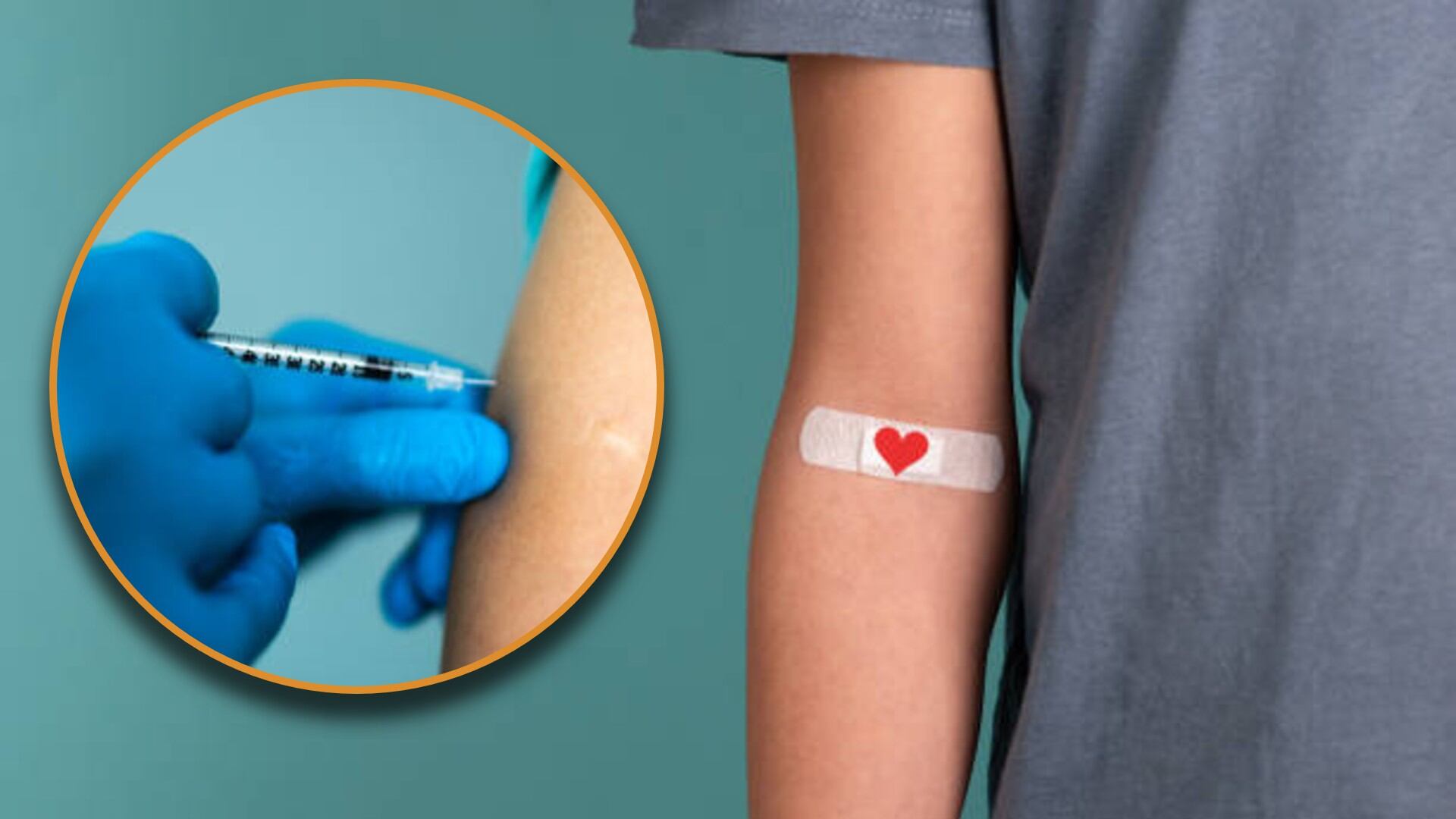 La donación de sangre es una de las cuestiones que rodea a la aplicación de la vacuna contra el sarampión. Diseño: (Jesús Tovar Sosa/Infobae)