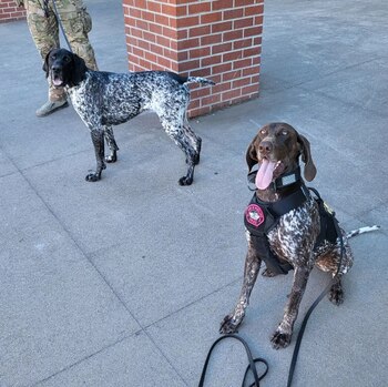 Buda posa junto a su