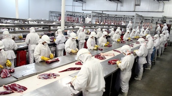 Polémica en Brasil por el