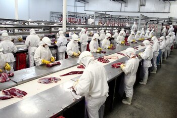 Brasil pretende vender únicamente carne trazada a partir de 2027 y está trabajando para ello (Revista Chacra)
