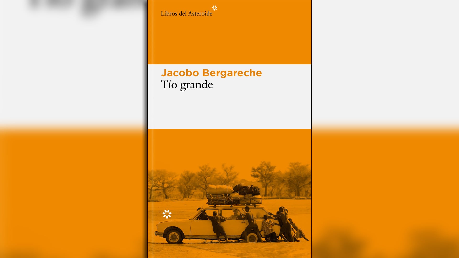 'Tío grande', de Jacobo Bergareche (Libros del Asteroide)