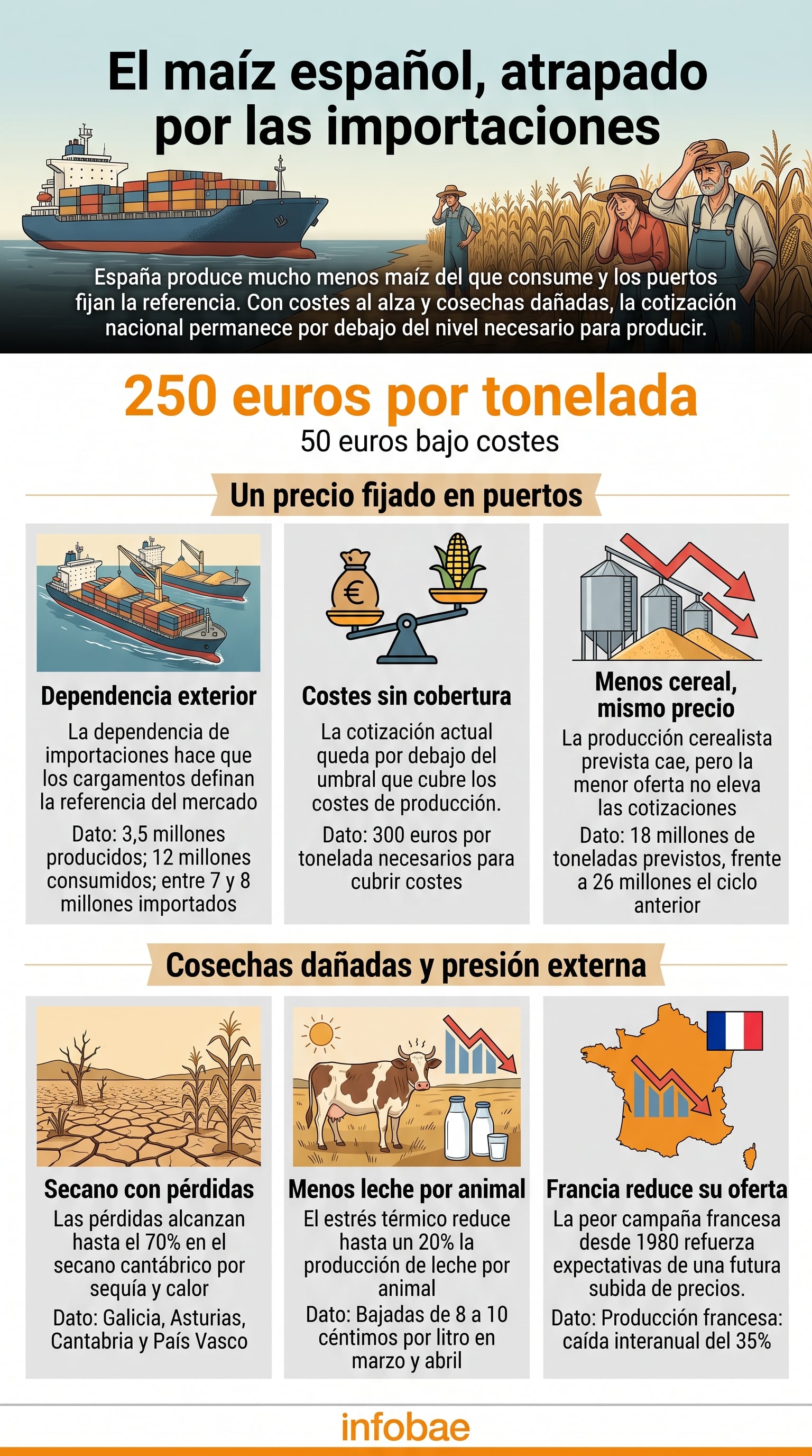 Una infografía de Infobae detalla que el precio del maíz en España cotiza en 250 euros la tonelada, por debajo del coste de producción de 300 euros. (Imagen Ilustrativa Infobae)