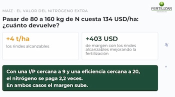 Valor del nitrógeno extra en la fertilización de maíz