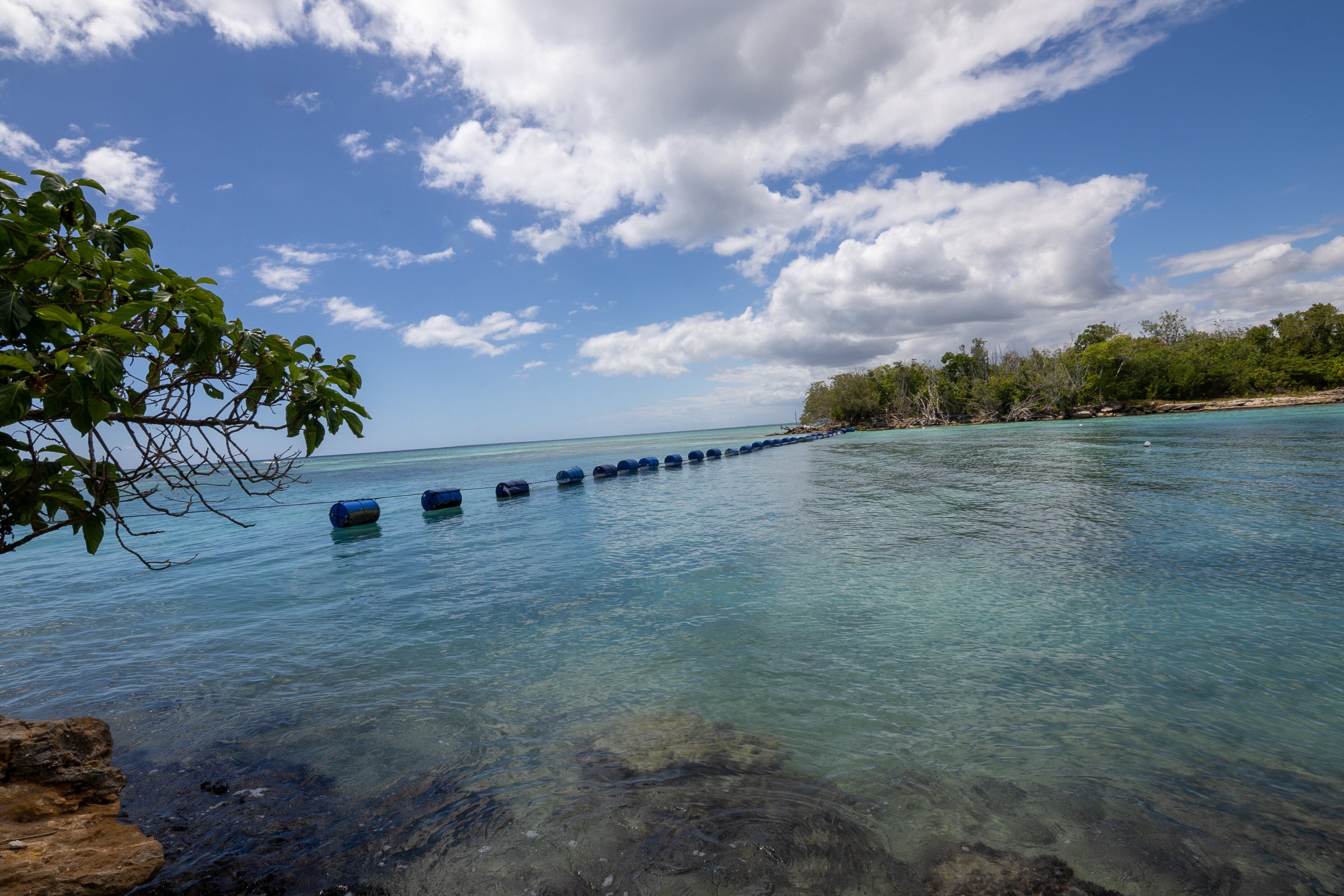 El Registro Nacional de Beneficios Ambientales y Biodiversidad reforzará la gobernanza y trazabilidad de los proyectos de mitigación en República Dominicana. (Foto cortesía Ministerio de Medio Ambiente RD)